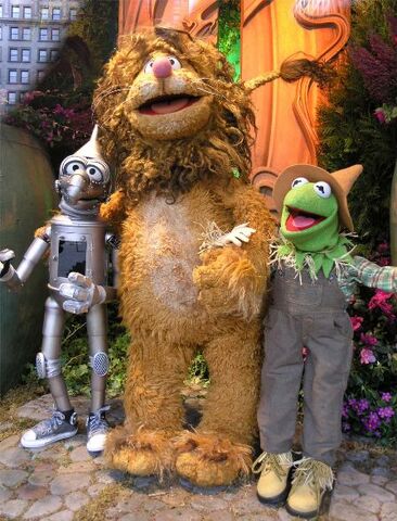 File:Ozflowershow23.jpg