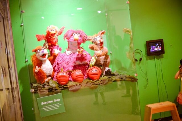 File:Sesame tree expo.jpg