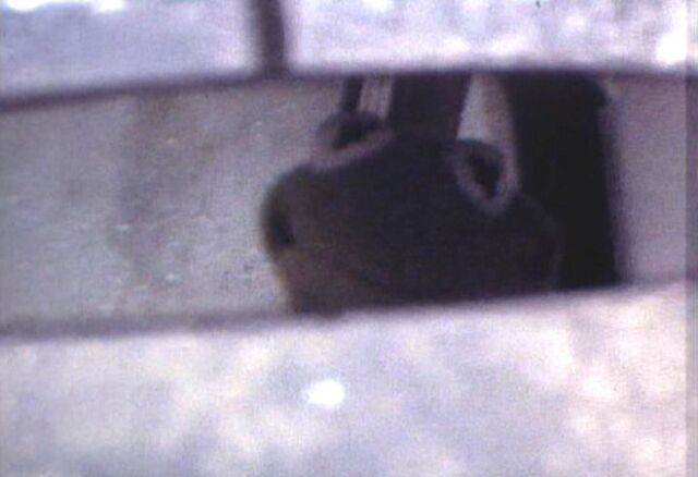 File:Camera test sc4 c.jpg