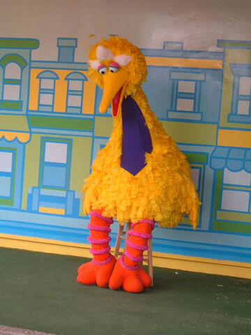File:BigBirdBlueTie.jpg