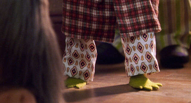 File:Kermit feet mfs.jpg