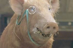File:Squealer2.jpg