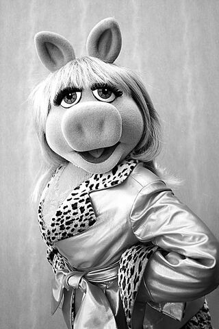 File:Piggypose.jpg