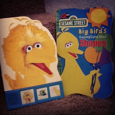 File:BigBirdPlayaSoundBook.jpg