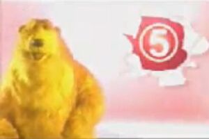 Channel 5 UK Bear