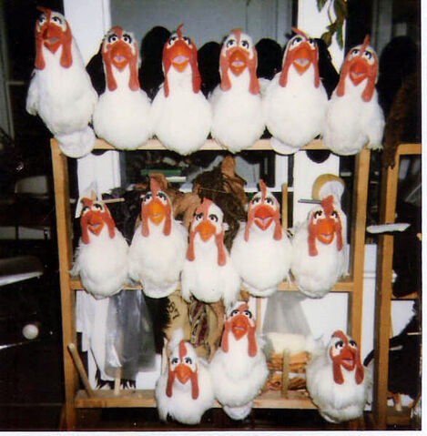 File:Chickensws.jpg
