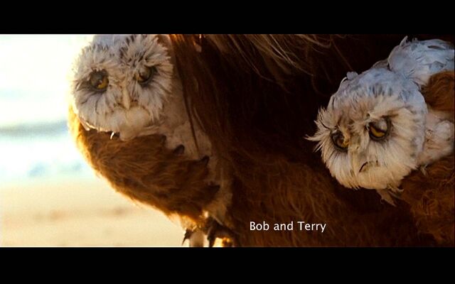 File:Wild-things-bob&terry.jpg