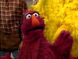 Episode 3699 | Muppet Wiki | FANDOM powered by Wikia