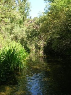 Río Mundo