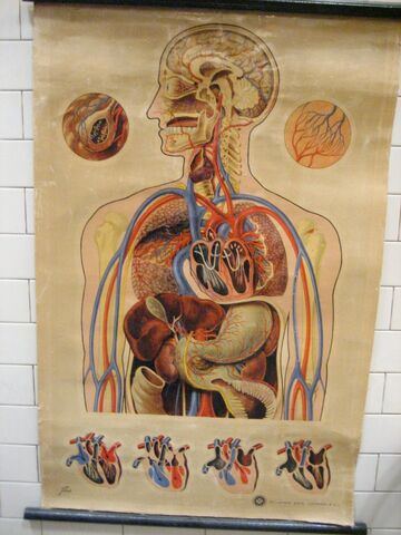File:Morgue 05.jpg