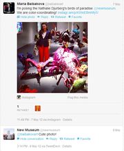New Museum Twitter