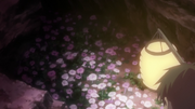 Vlcsnap-2013-05-14-12h34m43s181