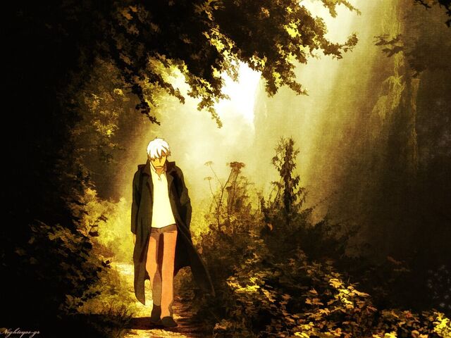 File:Animepaper-netwallpaper-standard-anime-mushishi-habitat-observation-163424-nighteyes-gr-preview-d57864dc.jpg