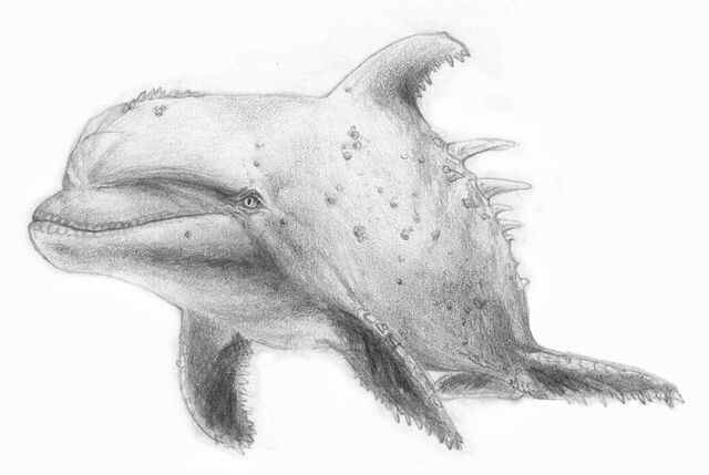 File:Repdolph.jpg