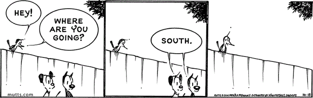 File:101516.gif