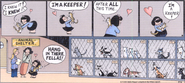 File:Tom tom sundays.png