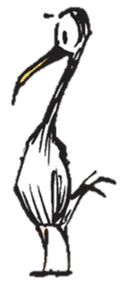 File:McGarry.png