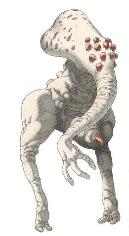 File:Warrior.jpg
