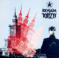 Brygada Kryzys live.jpg