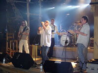 Mr Zoob