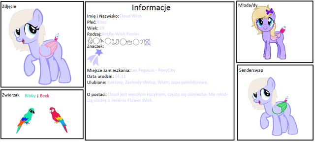 Plik:CloudWish ID.png