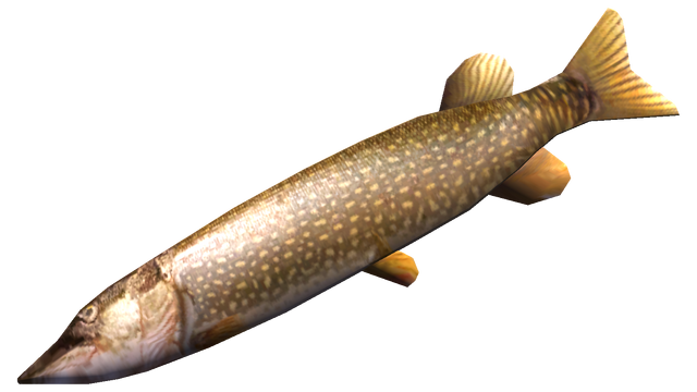 File:Pike.png
