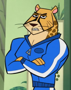 Mr. Cheetah