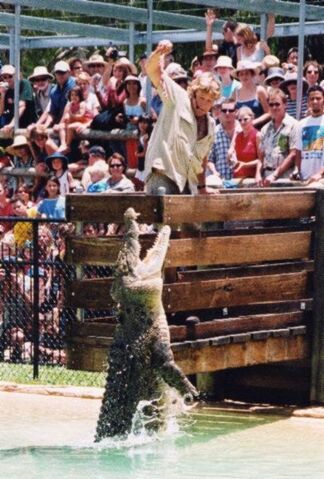 File:Steve croc2-600.jpg