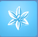Orchid b