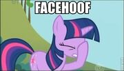 Facehoof