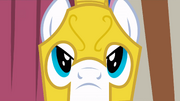 Expressionless guard