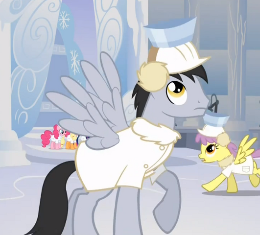 File:Snow catcher.png
