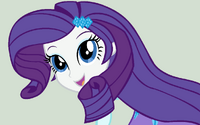 Rarity.png
