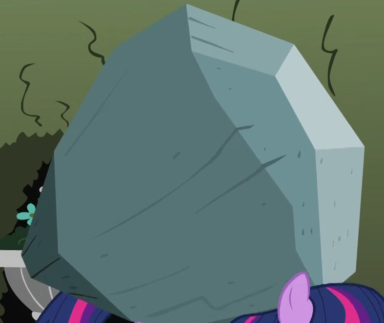 Tom  Wiki My Little Pony Les amies c'est magique  FANDOM 