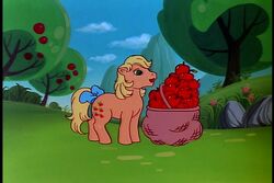Applejackbushel