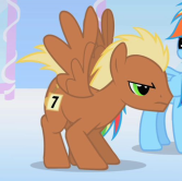 Pegasus Meadow Song s01e16.png