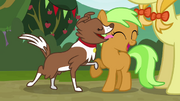 Winona licking the filly's face S3E08.png