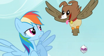 Rainbow Dash e Owlnona.png