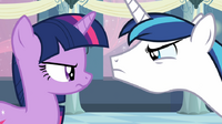 Sibling Clash