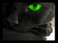 Thumbnail for version as of 04:53, December 17, 2014