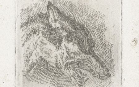 Wolf mit offenem Maul