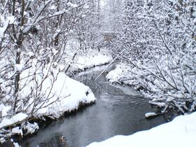 Winter stream by mizuyasha-d32gm4w.jpg