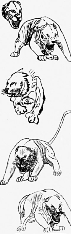 Ligerstudien.png
