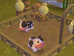 Roxie'sCows