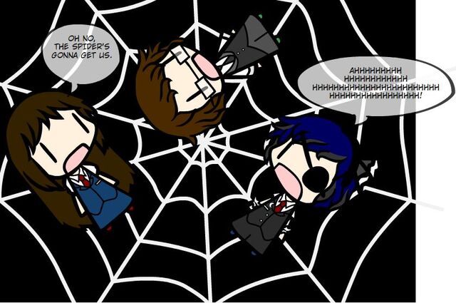 File:Spider 1.jpg