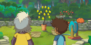 Garden