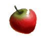 Red apple