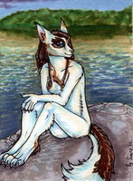 Aceo for july wise sight by suane-d41li3b