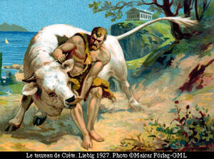 Creten bull