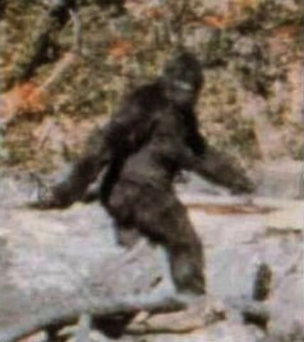 File:Bigfoot.jpg